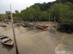 Berkat Listrik, Nelayan Perbatasan Tak Lagi Galau Melaut
