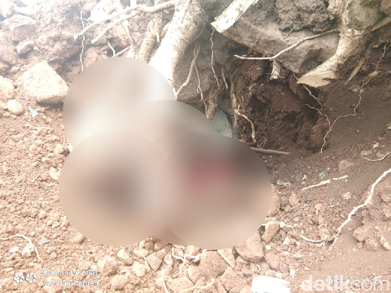 Penggali Batu Gunung di Gowa Tewas di Bawah Akar Pohon Penggali Batu Gunung di Gowa Tewas di Bawah Akar Pohon
