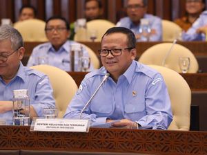 Mau Ekspor Benih Lobster, Edhy Prabowo: Untuk Cari Devisa