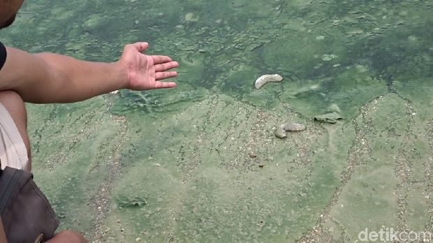 Kondisi bibir Pantai Wates, Rembang. 