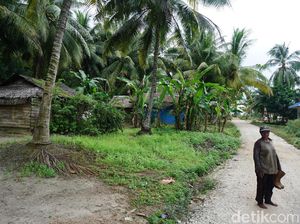 Potret Pulau Para Janda di Perbatasan RI