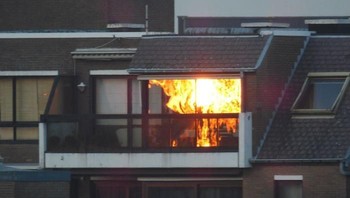 Bukan kebakaran, itu cahaya matahari terbenam di sela pepohonan yang memantul di kaca jendela rumah (Bored Panda)