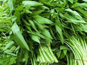 Di Indonesia Digemari, Kangkung Justru Dianggap Gulma di Amerika