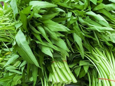 kangkung