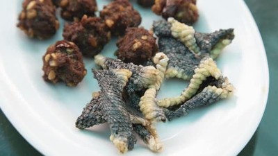 Antimainstream! Ini Tumis Ular hingga Kulit Ular Goreng di Resto Hanoi