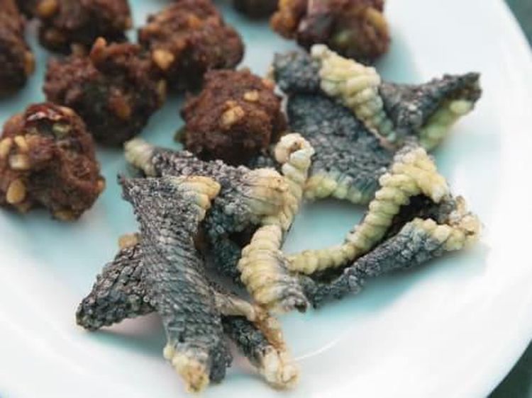 Antimainstream! Ini Tumis Ular hingga Kulit Ular Goreng di Resto Hanoi