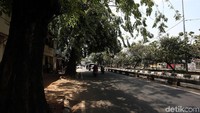 Pohon-pohon berukuran besar yang berada di Jalan Raya Panjang, Kedoya, Jakarta, tersebut membuat kawasan itu menjadi rindang.