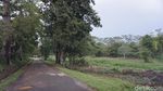 Potret Kampung Vietnam Batam yang Horor Tapi Hijau