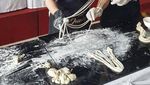 Intip Kulinerannya Rossa yang Tetap Santai Saat Diunfollow Melly Goeslaw