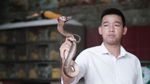 Antimainstream! Ini Tumis Ular hingga Kulit Ular Goreng di Resto Hanoi