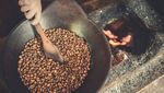 Proses Pembuatan Kopi Luwak, Kopi Termahal di Dunia yang Penuh Kontra
