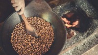Setelah diambil dari kotoran luwak, biji kopi kemudian diolah dalam proses yang cukup panjang, hingga bisa dikemas dan dijual. Foto: Istimewa
