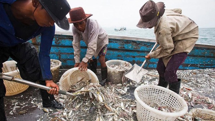 Industri Perikanan Thailand Masih Dihantui Perbudakan Manusia