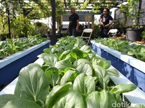 Memadukan Kawasan Pemukiman dan Pertanian buat Jawab Keterbatasan Lahan