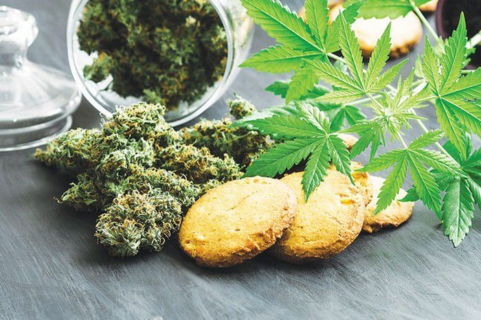 makanan ganja