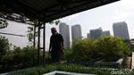 Konsep Urban Farming Jadi Inovasi Berkebun di Ibu Kota