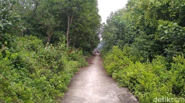 Lokasi gubuk tersembunyi yang digerebek polisi Jalan Tambak, Kampung Canang, Kecamatan Medan Belawan, Sumut