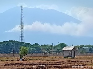 Rintihan Gunung-gunung di Jatim Dilalap Kebakaran Sebulan Terakhir