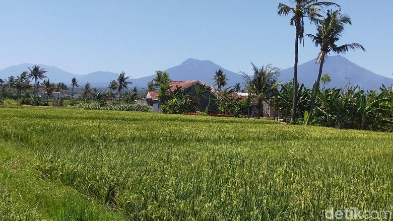 Suhu di Banyuwangi 37 Derajat Celcius, Terpanas Dalam 23 Tahun Terakhir Suhu di Banyuwangi 37 Derajat Celcius, Terpanas Dalam 23 Tahun Terakhir
