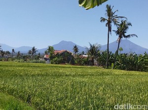 Suhu di Banyuwangi 37 Derajat Celcius, Terpanas Dalam 23 Tahun Terakhir
