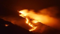 Gunung Lawu sisi timur terbakar sejak Jumat siang dan belum diketahui penyebabnya. ANTARA FOTO/Siswowidodo.