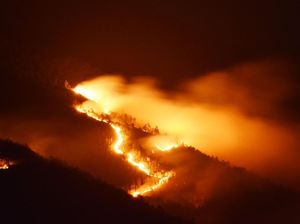 Terbakar, Gunung Lawu Merah Membara
