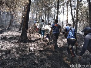 Pemadaman Gunung Lawu Masih Dilakukan Manual