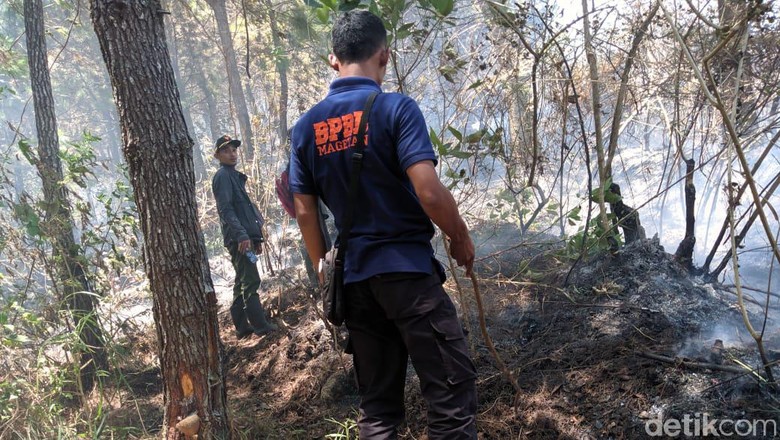 Pemadaman Kebakaran Gunung Lawu Terkendala Badai, Api Meluas Pemadaman Kebakaran Gunung Lawu Terkendala Badai, Api Meluas