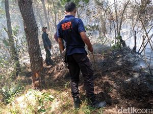 Pemadaman Kebakaran Gunung Lawu Terkendala Badai, Api Meluas