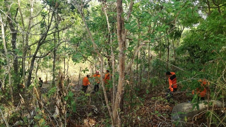 Nenek Hilang 2 Hari Diduga Tersesat, Tim SAR Sisir Hutan di Gunungkidul Nenek Hilang 2 Hari Diduga Tersesat, Tim SAR Sisir Hutan di Gunungkidul