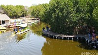 Ada pula taman mangrove dengan jembatan kayu yang bisa dijelajahi dan digunakan untuk latar belakang foto (Foto: Angling Adhitya Purbaya/detikcom)