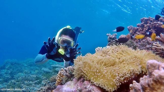 5 Tempat Wisata Makassar dan Sekitarnya yang Hits Banget