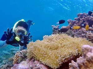 Definisi Wisata Bahari dan Potensi Indonesia