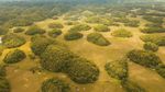 Potret Bukit Cokelat yang Mitosnya dari Air Mata Raksasa