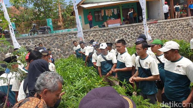 Jadikan KEK Pariwisata, Kawasan Jatigede Ditanami Sejuta Pohon
