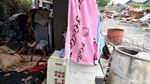Mereka yang Bertahan di Tanah Penggusuran Sunter