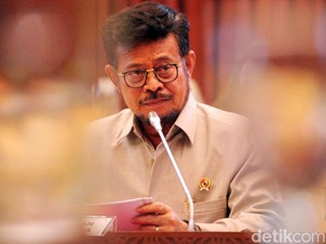 Terungkap! Ini Alasan RI Masih Impor Bawang Putih hingga Daging Sapi