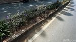 Taman Pembatas Jalan Jatinegara Barat Bagai Tak Terawat