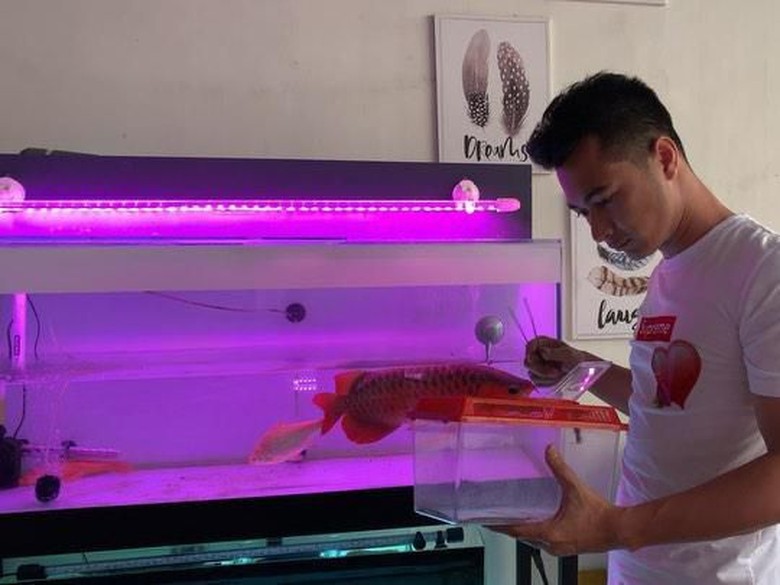 Profil Eza Gionino yang Akhirnya Maafkan Ancaman dari Penjual Ikan/Foto: Instagram @ezagio Profil Eza Gionino yang Akhirnya Maafkan Ancaman dari Penjual Ikan/Foto: Instagram @ezagio