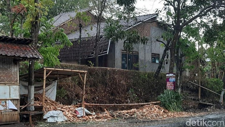 Angin Kencang Melanda Jember, Pohon Tumbang dan Tiang Listrik Roboh Angin Kencang Melanda Jember, Pohon Tumbang dan Tiang Listrik Roboh