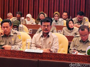 Dicecar DPR Data Pangan Tak Akurat, Ini Kata Mentan