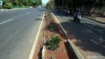 Taman Pembatas Jalan Jatinegara Barat Bagai Tak Terawat
