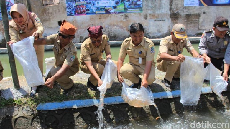 Warga Banyuwangi Sulap Sungai Penuh Sampah Jadi Lokasi Wisata Warga Banyuwangi Sulap Sungai Penuh Sampah Jadi Lokasi Wisata