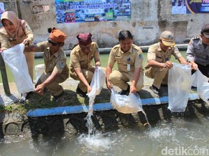Warga Banyuwangi Sulap Sungai Penuh Sampah Jadi Lokasi Wisata