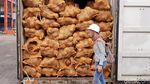 25 Kontainer Kelapa RI Ditolak Thailand Gara-gara Bertunas