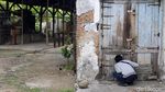 Melihat Abattoir, Rumah Jagal Hewan Peninggalan Belanda di Cimahi