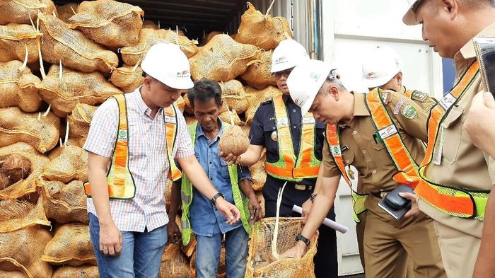 Foto: Raja Adil Siregar/detikcom Foto: Raja Adil Siregar/detikcom