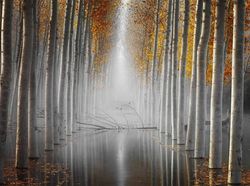 Foto Mengagumkan Pemenang Nature Photographer Of The Year 2019