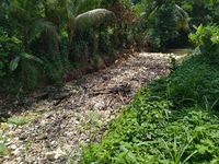 Sampah di Kalibaru Bogor Tak Kunjung Dibersihkan, Warga Khawatir Banjir