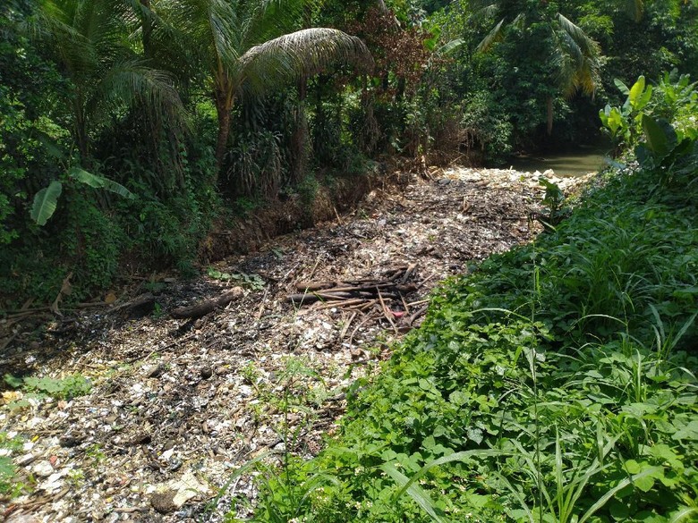 Warga Khawatir Sampah Kalibaru Bikin Banjir, Pemkab Bogor: Kami Pantau Warga Khawatir Sampah Kalibaru Bikin Banjir, Pemkab Bogor: Kami Pantau